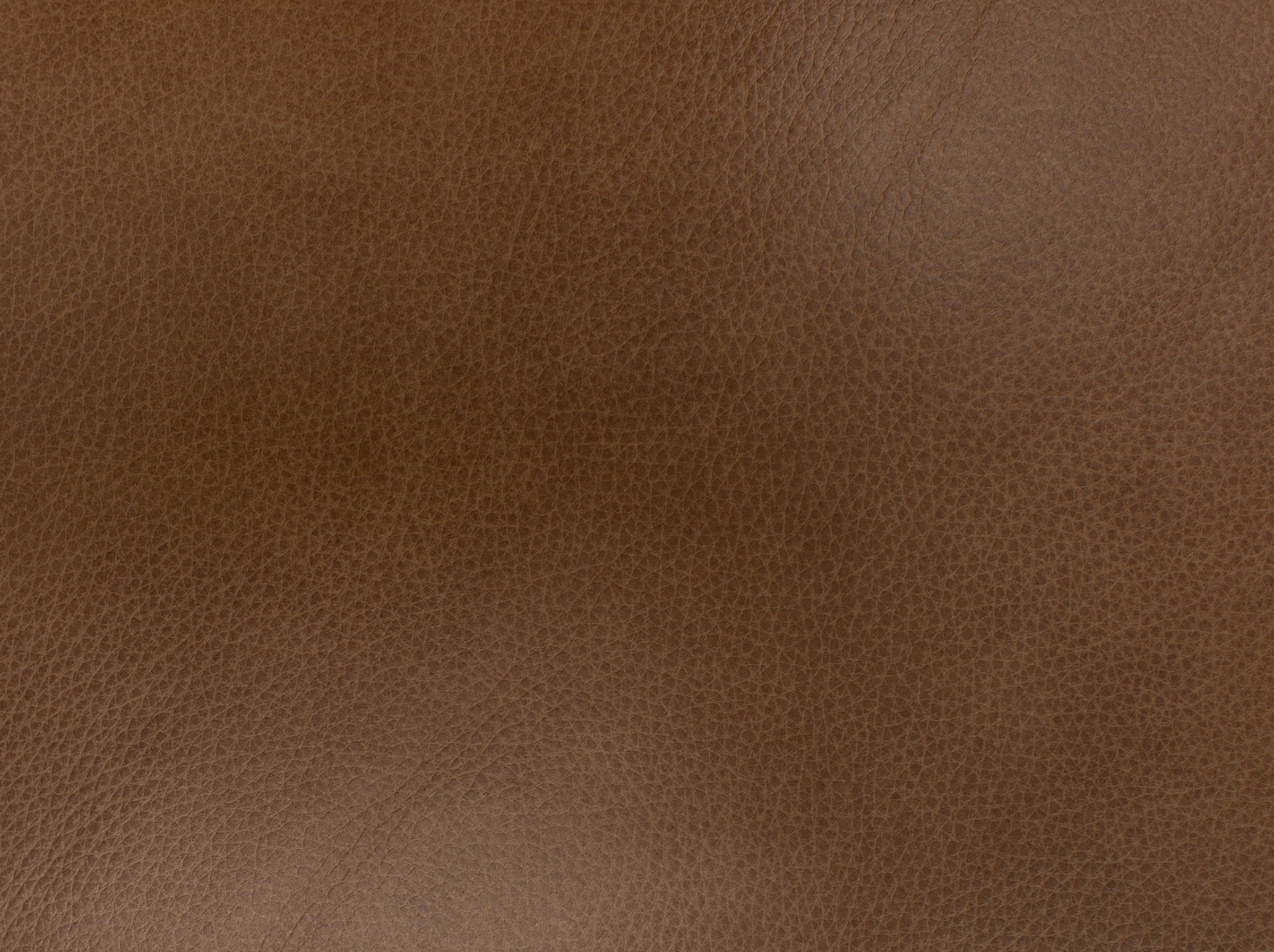 Oliver Leather Sofa in Honey